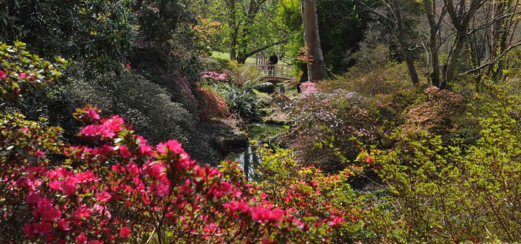 Exbury Gardens