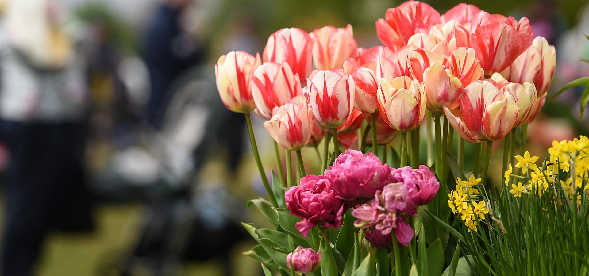 BBC Gardeners’ World Spring Fair returns to Beaulieu for 2024