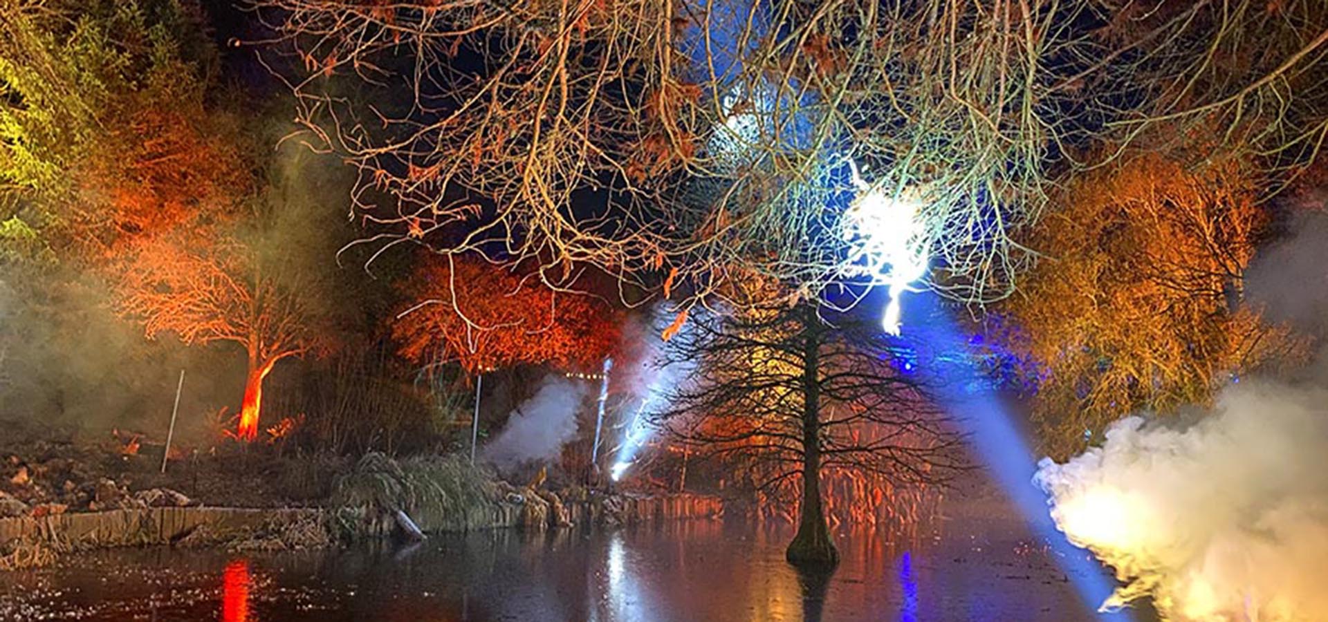 Light Up Sir Harold Hillier Gardens At Christmas 2023 Insidehampshire