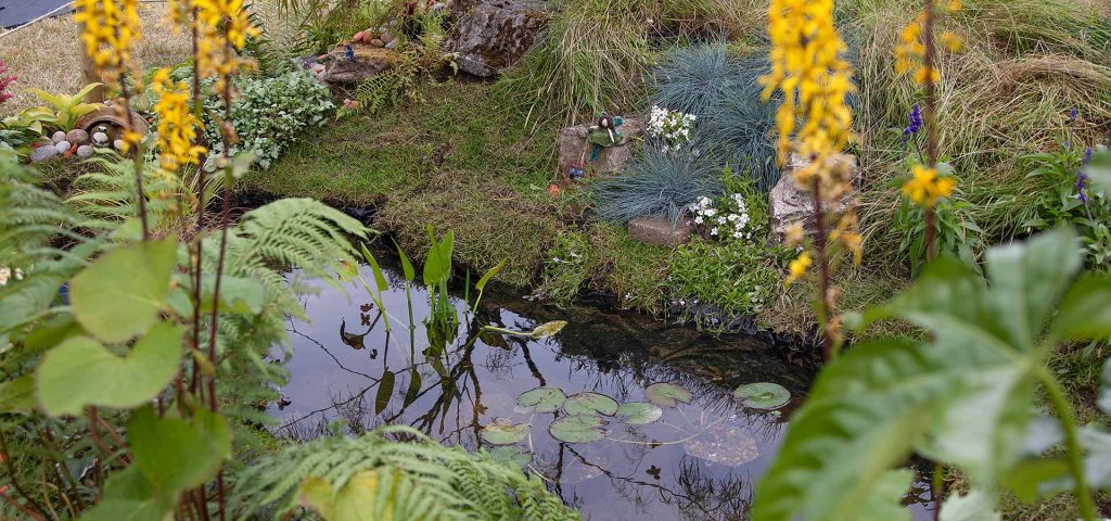 Furzey Gardens: Reflective Waters of Inclusivity